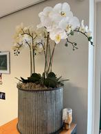 Orchidee kunstplant, Huis en Inrichting, Ophalen, Gebruikt