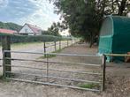 Plaats voor shetlander of kleine pony in paddock, 1 paard of pony