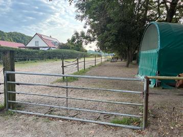 Plaats voor shetlander of kleine pony in paddock beschikbaar voor biedingen