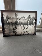 Foto: Wilde Paarden in Zwart-Wit, Ophalen of Verzenden