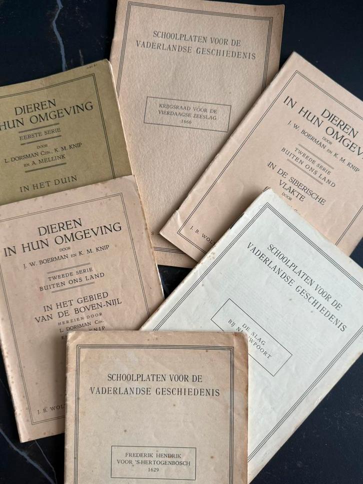 Boekjes bij schoolplaten vaderlandse geschiedenis, Antiek en Kunst, Antiek | Boeken en Bijbels, Ophalen of Verzenden