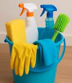 Betrouwbare Schoonmaakster, Vacatures, Vacatures | Schoonmaak en Facilitaire diensten