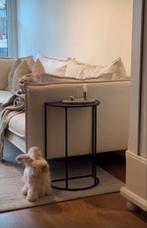 Engelse Angora fullface ram + engelse angora voedster, Meerdere dieren