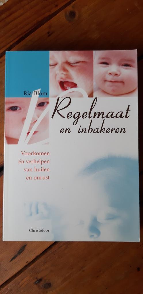 R. Blom - Regelmaat en inbakeren, Boeken, Zwangerschap en Opvoeding, Zo goed als nieuw, Ophalen of Verzenden