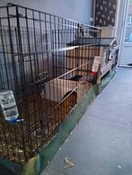 Konijnenhok, ren, Dieren en Toebehoren, Knaagdieren en Konijnen | Hokken en Kooien, Ophalen, Cavia, 90 cm of meer, Ren