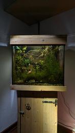 Aquarium, houten kast + filter & verlichting (zonder vissen), Dieren en Toebehoren, Vissen | Aquaria en Toebehoren, Ophalen, Zo goed als nieuw