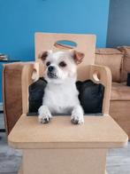 Bailey chair, stoel Slokdarmverlamming hond, Megaoesophagus, Dieren en Toebehoren, Honden-accessoires, Zo goed als nieuw, Ophalen