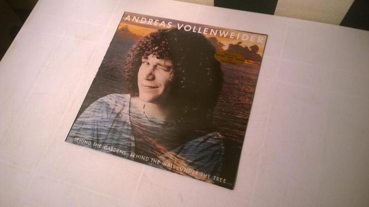 Andreas vollenweider ‎– ...Behind the gardens - behind the w, Cd's en Dvd's, Vinyl | Pop, Gebruikt, 1960 tot 1980, 12 inch, Ophalen