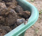 Paardenmest - Ideaal voor de tuin!, Tuin en Terras, Aarde en Mest, Ophalen