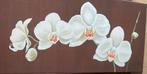 Canvas witte orchidee schilderij 40/80, Ophalen, Zo goed als nieuw, Schilderij, 75 tot 100 cm