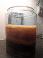 Kombucha scobies op zwarte thee, Ophalen