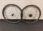 Pinarello most wildcat wielset campagnolo in nette staat, Ophalen of Verzenden, Gebruikt, Overige typen