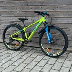 Cube acid race 260 disc / 1x11 deore, Fietsen en Brommers, Fietsen | Mountainbikes en ATB, Gebruikt, Hardtail, Ophalen, Overige merken
