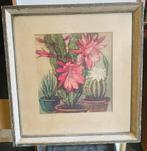 Prachtige kaktus voorstelling in lijst, Ophalen of Verzenden, Schilderij, Minder dan 50 cm