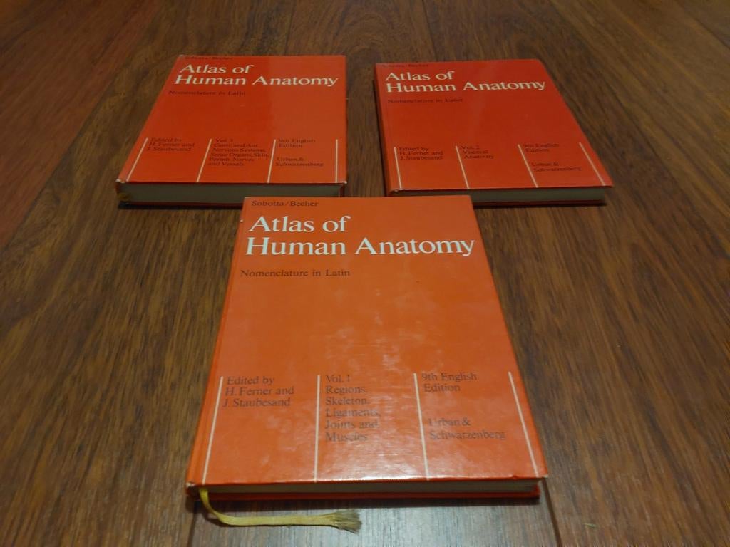 Atlas of Human Anatomy, Gelezen, Ophalen of Verzenden, WO, Sobotta, Becher
