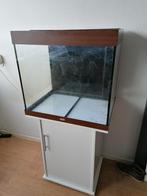 Aquarium Juwel Lido 200 leeg te koop, Dieren en Toebehoren, Vissen | Aquaria en Toebehoren, Ophalen, Gebruikt, Leeg aquarium