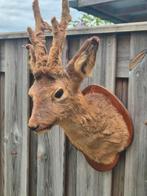 Mooie hertekop, Ophalen of Verzenden, Zo goed als nieuw, Paard, Beeldje of Figuurtje