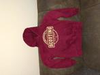 Scouting hoody, Ophalen of Verzenden, Gebruikt, Embleem, Speld of Insigne