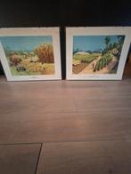 Oude schoolplaten J.J ten Have-Suikerriet en Tabaksplantage, Antiek en Kunst, Kunst | Schilderijen | Klassiek, Ophalen