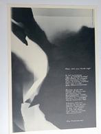 Fotogram & Gedicht, Fischeroux/Vroegindeweij, 1980, Antiek en Kunst, Ophalen of Verzenden