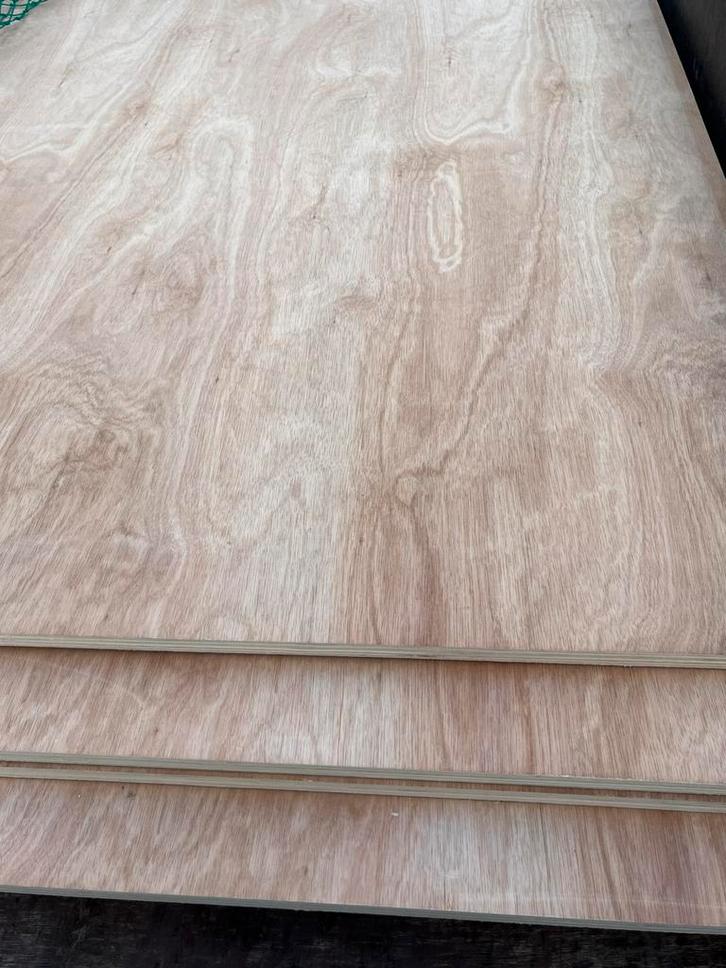 Hardhout multiplex 18mm, Doe-het-zelf en Verbouw, Platen en Panelen, Nieuw, Multiplex, Minder dan 20 mm, Ophalen