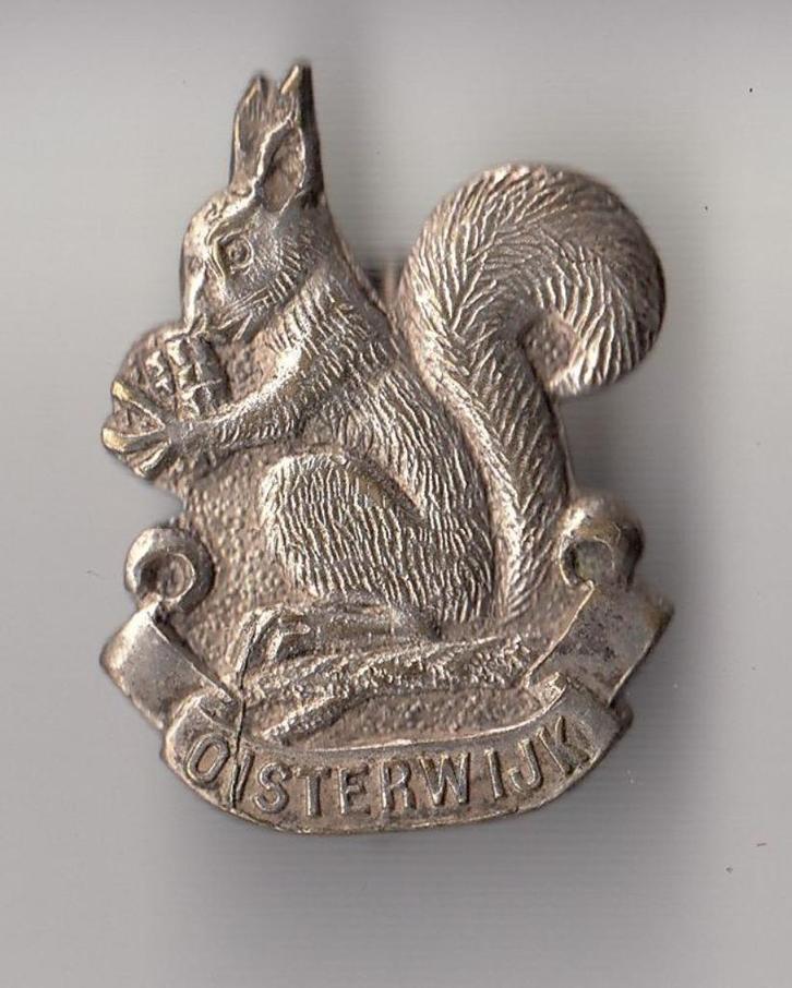 Oisterwijk Eekhoorn broche, Verzamelen, Speldjes, Pins en Buttons, Gebruikt, Speldje of Pin, Overige onderwerpen, Ophalen of Verzenden