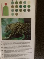 daimond painting, Ophalen of Verzenden, Nieuw, Knutselwerk