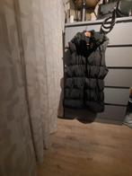 Airforce Dames Bodywarmer - Maat XL, Airforce, Zwart, Maat 46/48 (XL) of groter, Ophalen of Verzenden