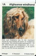 kwartetkaart Afghaanse windhond, Verzamelen, Ophalen of Verzenden, Gebruikt, Hond of Kat, Overige typen