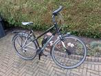 Koga Miyata Roadrunner, Ophalen, Koga Miyata, Meer dan 20 versnellingen, 53 tot 56 cm