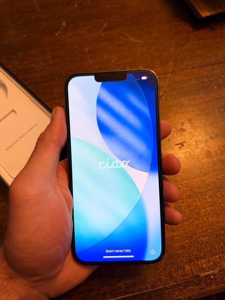 iPhone 13 Pro Max 1TB - Zeer Goede Staat + Quad Lock, Telecommunicatie, Mobiele telefoons | Apple iPhone, Zo goed als nieuw, 1 TB