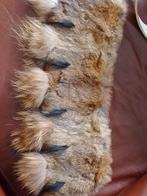 Bont kraag, Kleding | Dames, Jassen | Winter, Ophalen of Verzenden, Zo goed als nieuw, Zwart