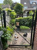 Oud zwaar smeedijzeren hek, Tuin en Terras, Ophalen of Verzenden, Zo goed als nieuw, IJzer, Sierhekwerk