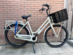 Batavus Quip Extra Cargo damesfiets 55, Fietsen en Brommers, Fietsen | Dames | Damesfietsen, 53 tot 56 cm, Ophalen, Zo goed als nieuw