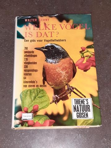 Welke vogel is dat Walter Cerny beschikbaar voor biedingen