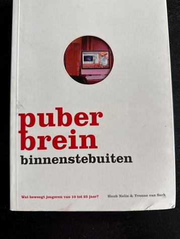 Puberbrein Binnenstebuiten - Opvoeding 10-25 jaar beschikbaar voor biedingen