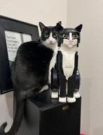 Cat, Ophalen of Verzenden, Nieuw