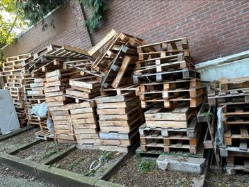 PALLETS GRATIS OP TE HALEN! beschikbaar voor biedingen