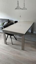 RVS eettafel 180x100, 50 tot 100 cm, 150 tot 200 cm, Gebruikt, Rechthoekig