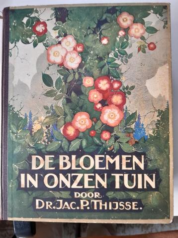 De Bloemen in Onzen Tuin - Dr. Jac. P. Thijsse beschikbaar voor biedingen