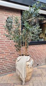 Kleipot, landelijke kruik, grote pot, oude Indiase kruik, Landelijk by Suus, 40 cm of meer, Ophalen of Verzenden, Landelijkbysuus@gmail.com
