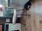 Eetkamerstoelen roze en beige, 4 stuks ook los te koop, Ophalen, Nieuw