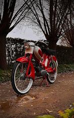 Berini M31, Maximaal 45 km/u, 50 cc, 3 versnellingen, Ophalen