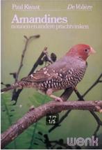 AMADINES NONNEN EN ANDER PRACHTVINKEN, Ophalen of Verzenden, Zo goed als nieuw, Vogels