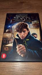 Fantastic Beasts and Where to Find Them. Eddie Redmayne., Cd's en Dvd's, Vanaf 16 jaar, Ophalen, Zo goed als nieuw
