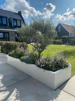 Stalen plantenbakken op maat, 100 cm of meer, Vierkant, Nieuw, Ophalen of Verzenden