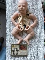 Reborn kit, Verzamelen, Poppen, Verzenden, Nieuw, Overige typen