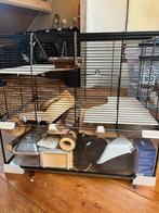 Hamsterkooi Ferplast Karat 60, Dieren en Toebehoren, Knaagdieren en Konijnen | Hokken en Kooien, Kooi, Gebruikt, Minder dan 75 cm