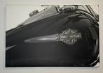 Harley Davidson canvas schilderij 40 x 60 cm, Ophalen of Verzenden, Zo goed als nieuw, 50 tot 75 cm, Schilderij