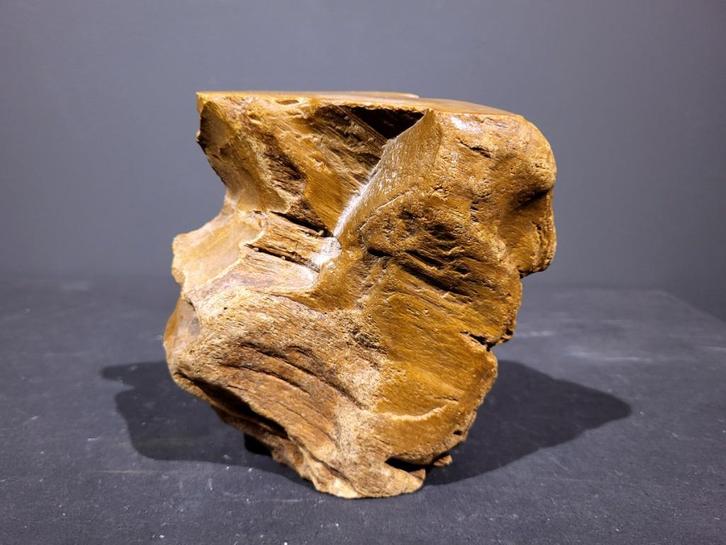 Versteend hout,1,5 kg, 10,- euro, grote keus in mineralen, Verzamelen, Mineralen en Fossielen, Mineraal, Ophalen